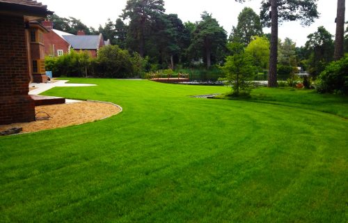 Soft Landscaping in Southampton